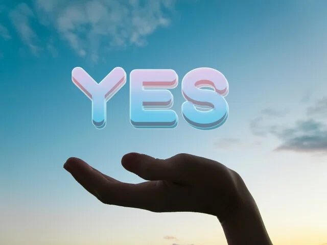 YESが手の平の上にある