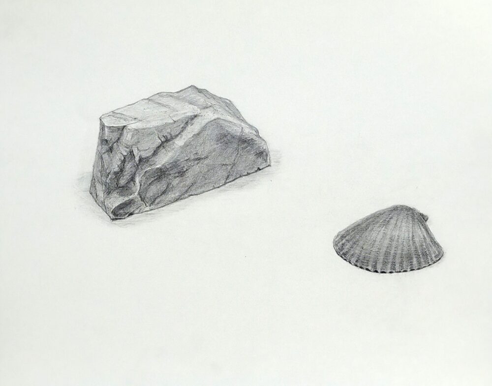 石と貝のデッサン画