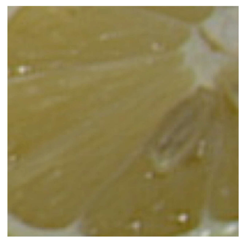 Crop 画像