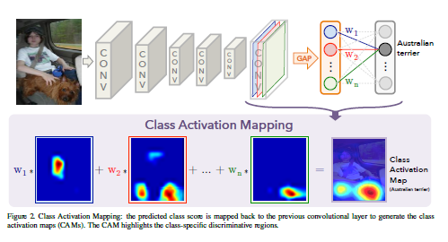 Class Activation Mapping