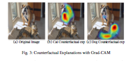 Counterfactual Explanations with Grad-CAM